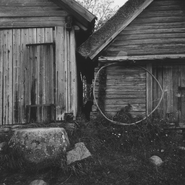 Summer silence, Estonia, 2019