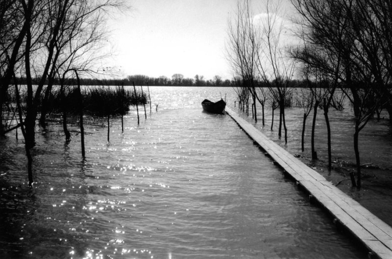 Delta du Danube, Ukraine (2010)